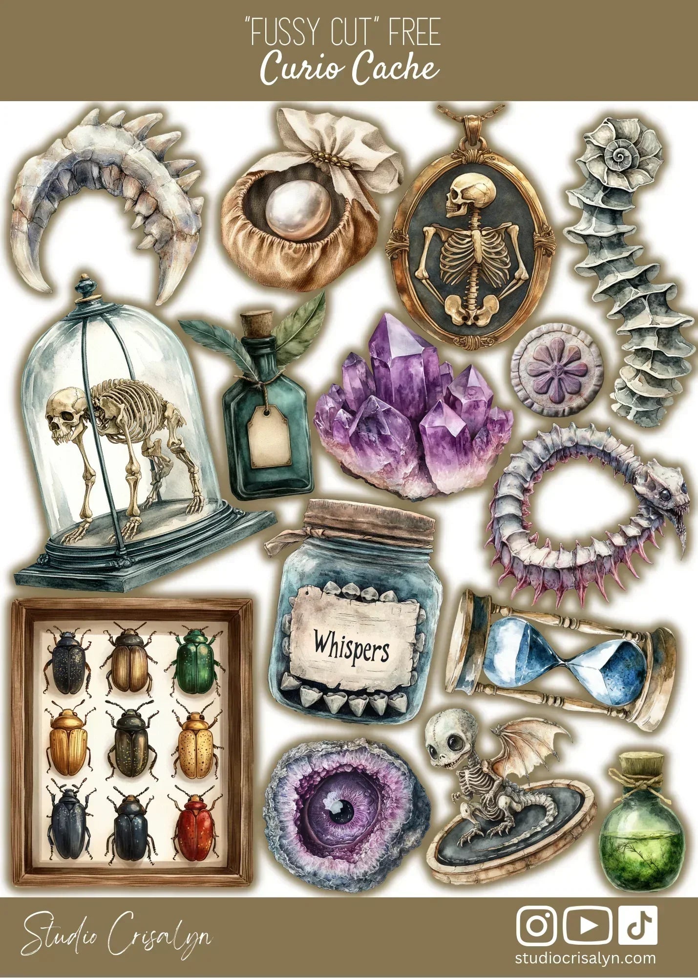 Get the WHOLE RELEASE!