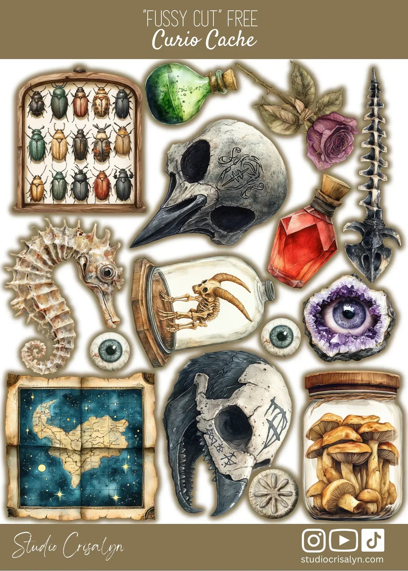 Get the WHOLE RELEASE!