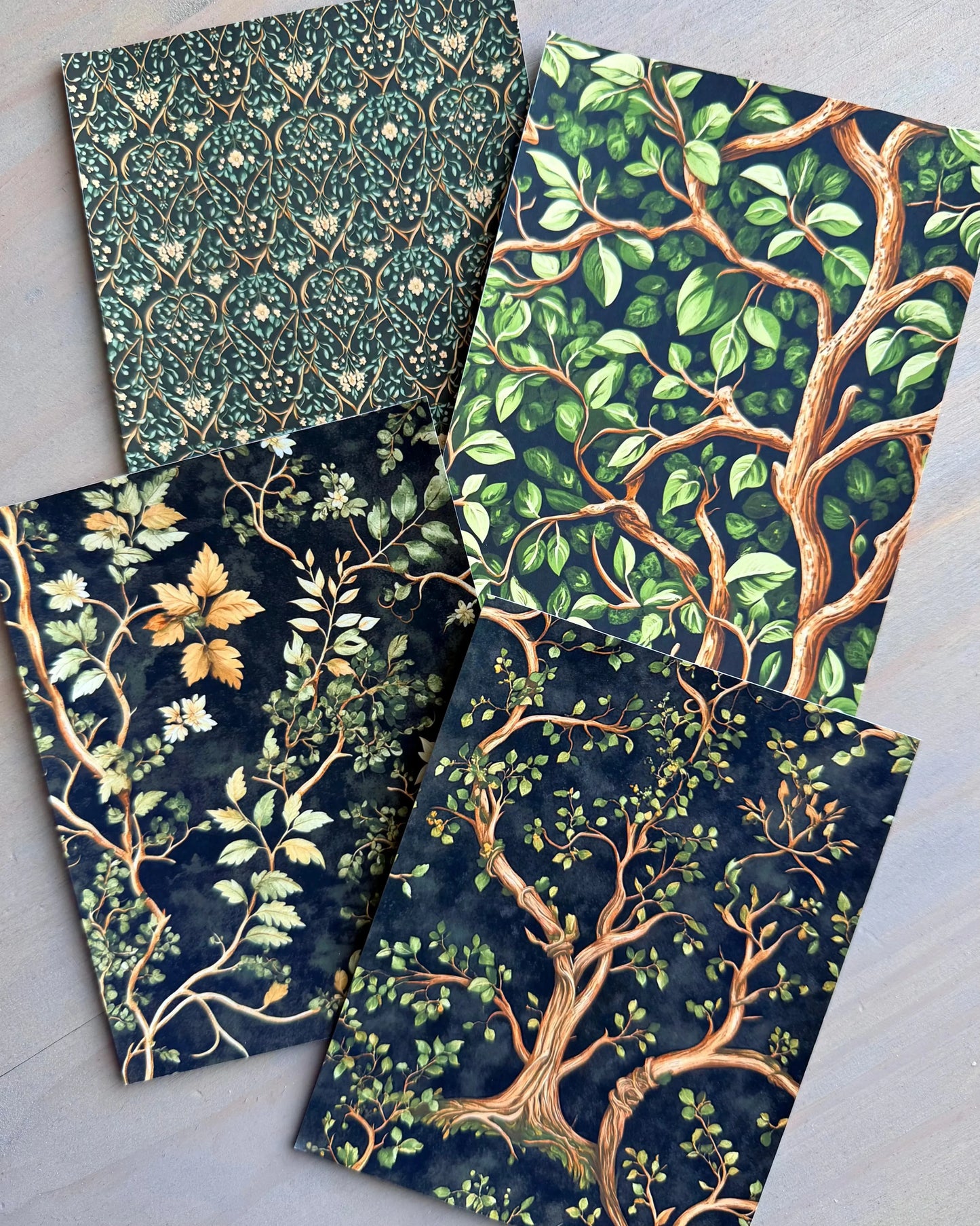 Deep in the Forest Backgrounds - Studio Crisalyn