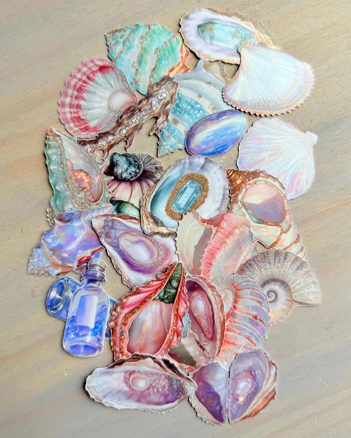 Die-Cuts Dreamy Shells - Studio Crisalyn