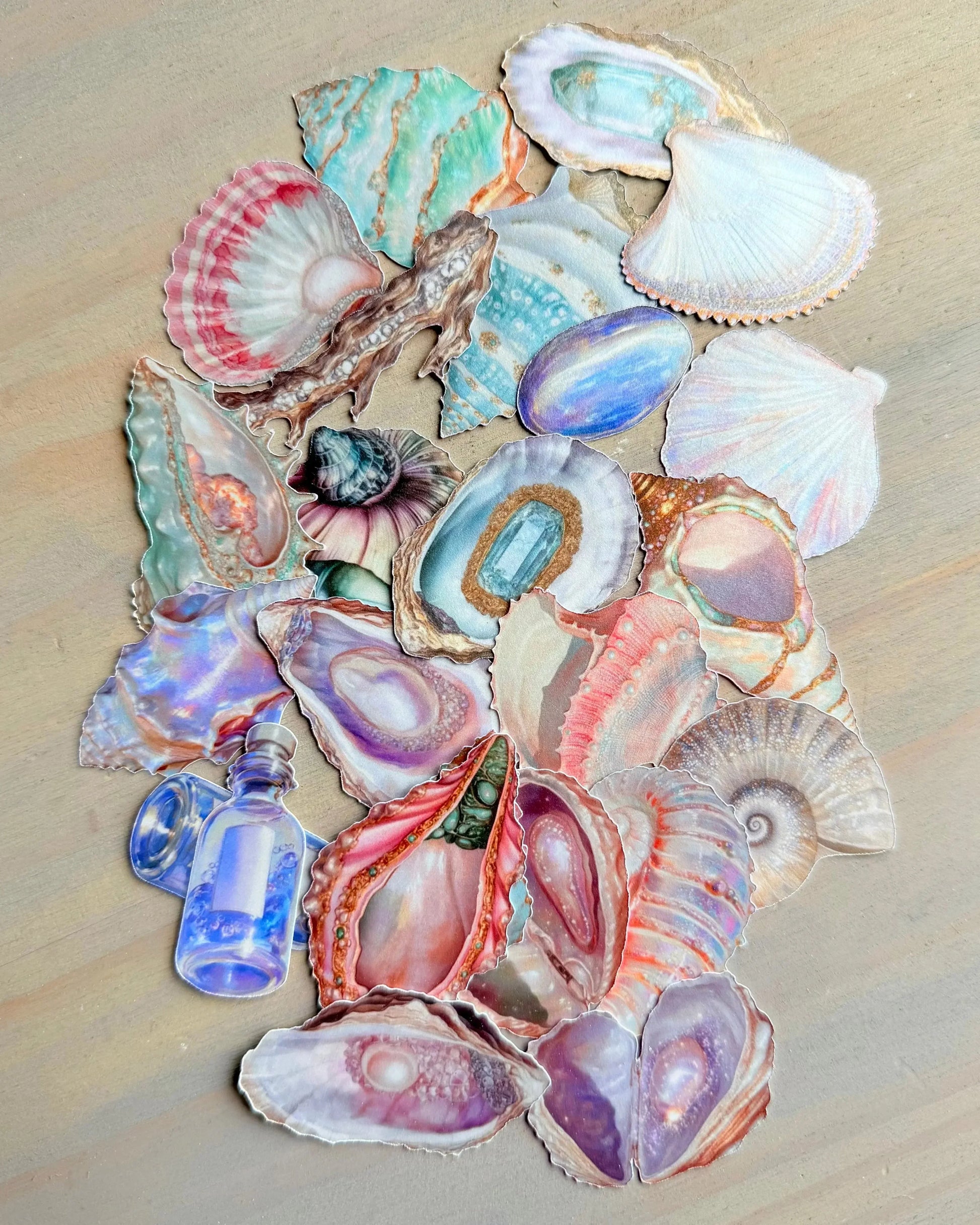 Die-Cuts Dreamy Shells - Studio Crisalyn