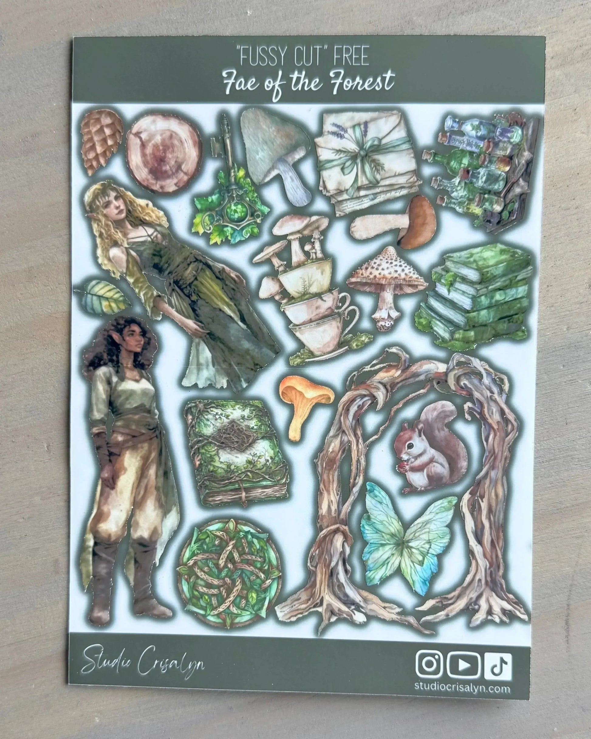 Fae of the forest Sticker sheet - Studio Crisalyn