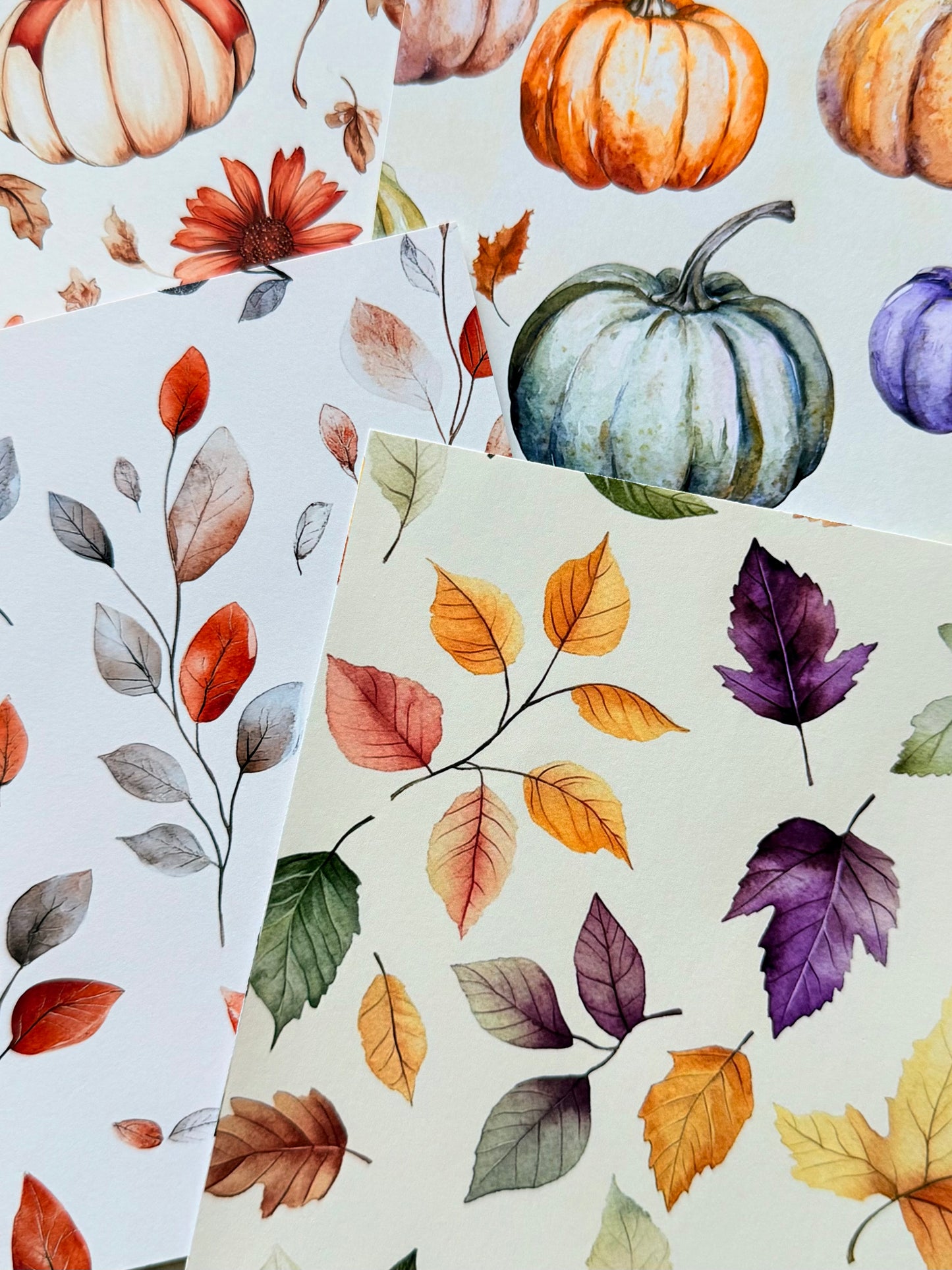 Get the WHOLE RELEASE!