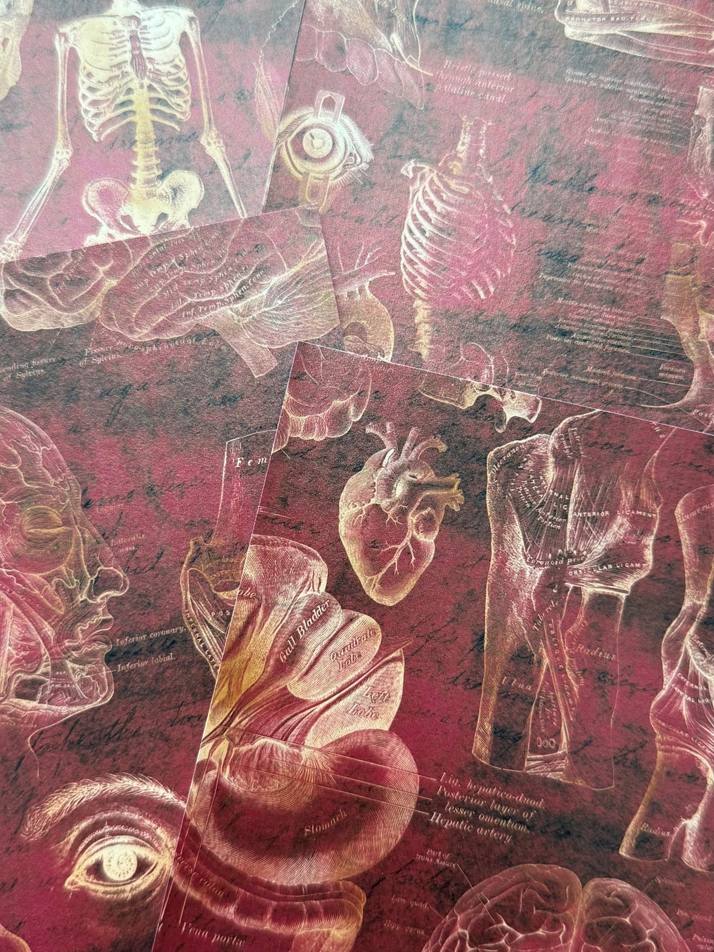 Get the WHOLE RELEASE!