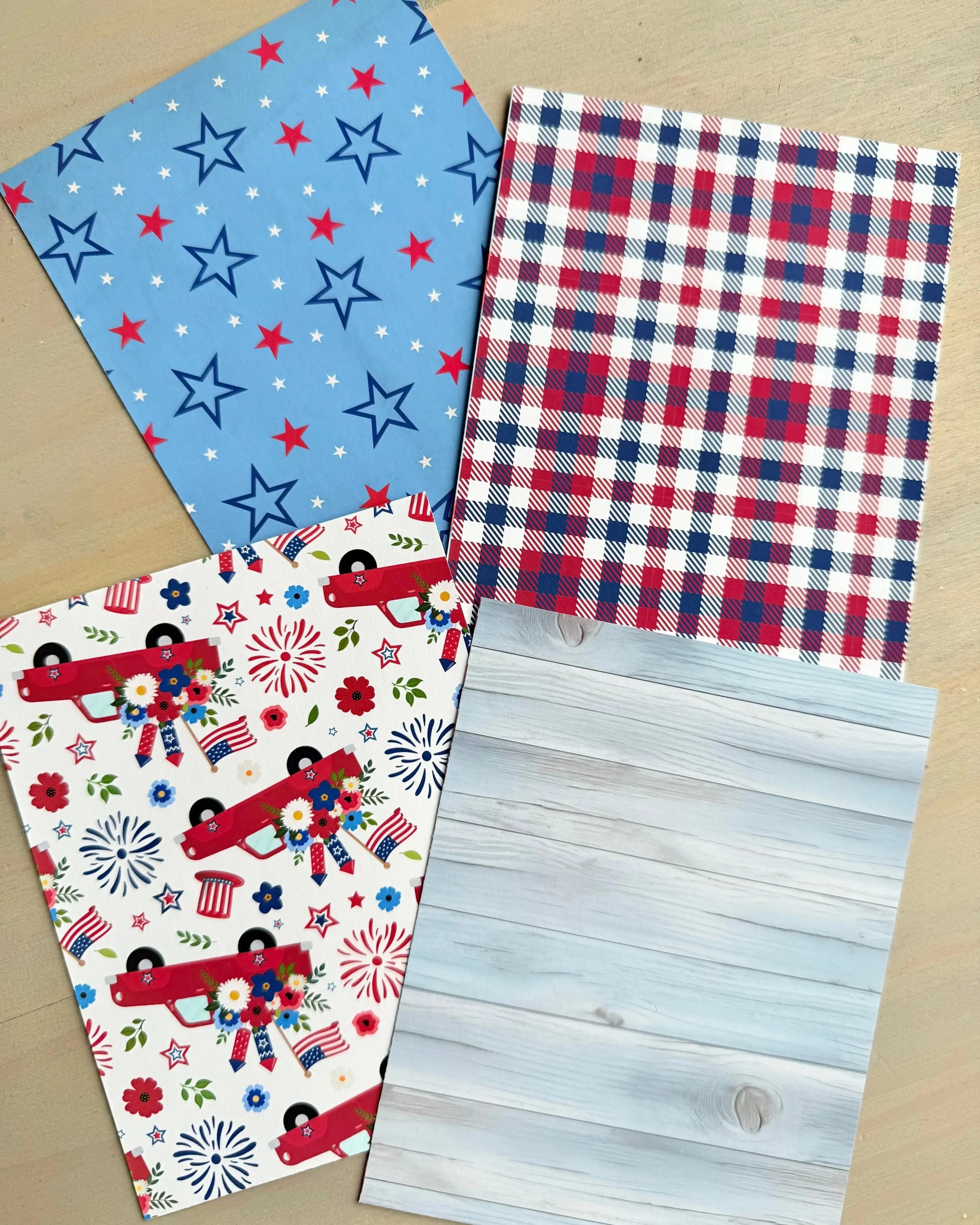 SC 2025 Patriotic- Red White and Blue BBQ - Studio Crisalyn