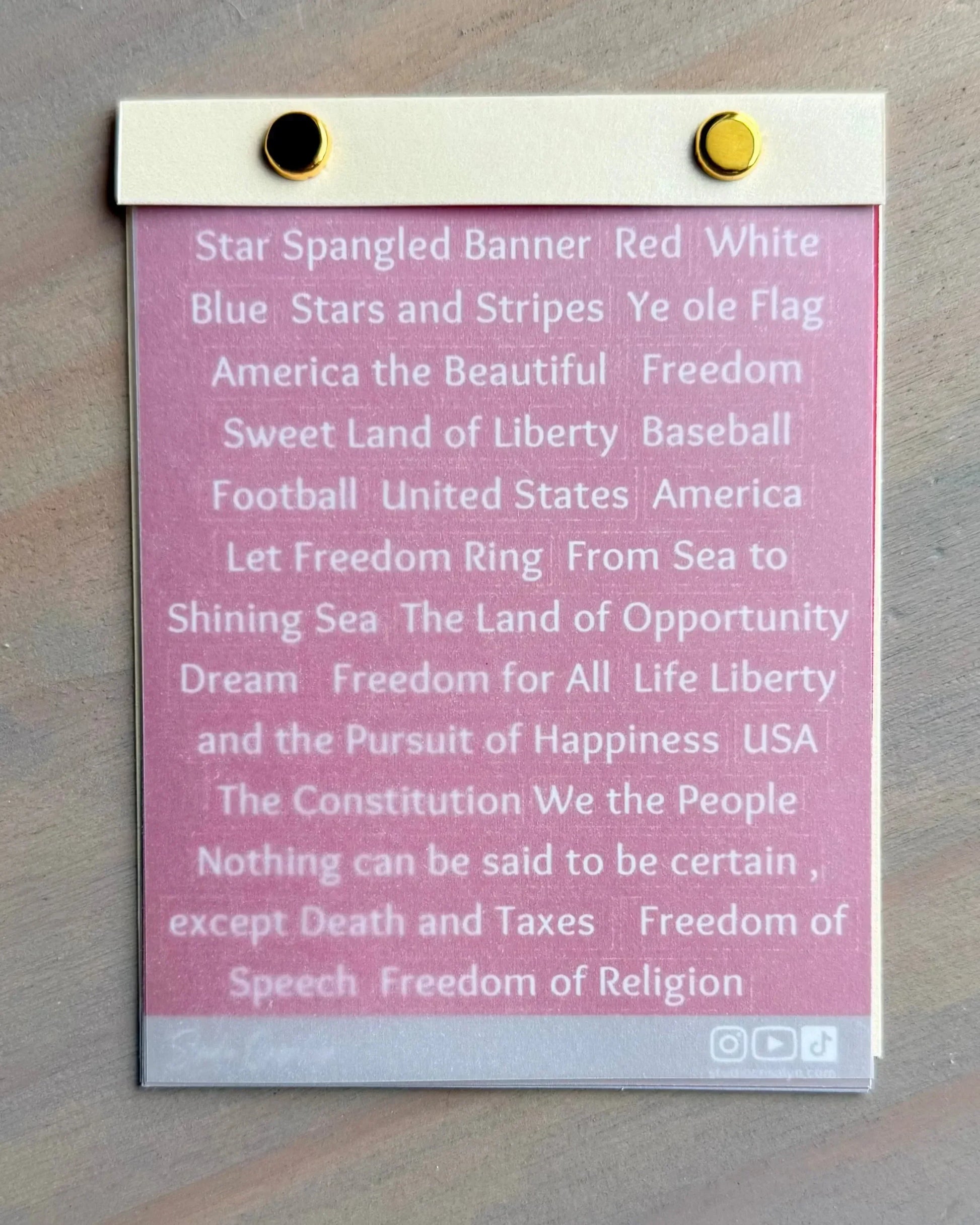 SC 2025 Patriotic- Red White and Blue BBQ - Studio Crisalyn