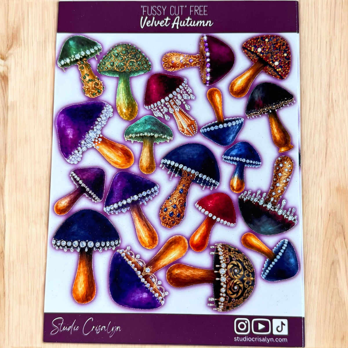 Get the WHOLE RELEASE!  Bundle Studio Crisalyn