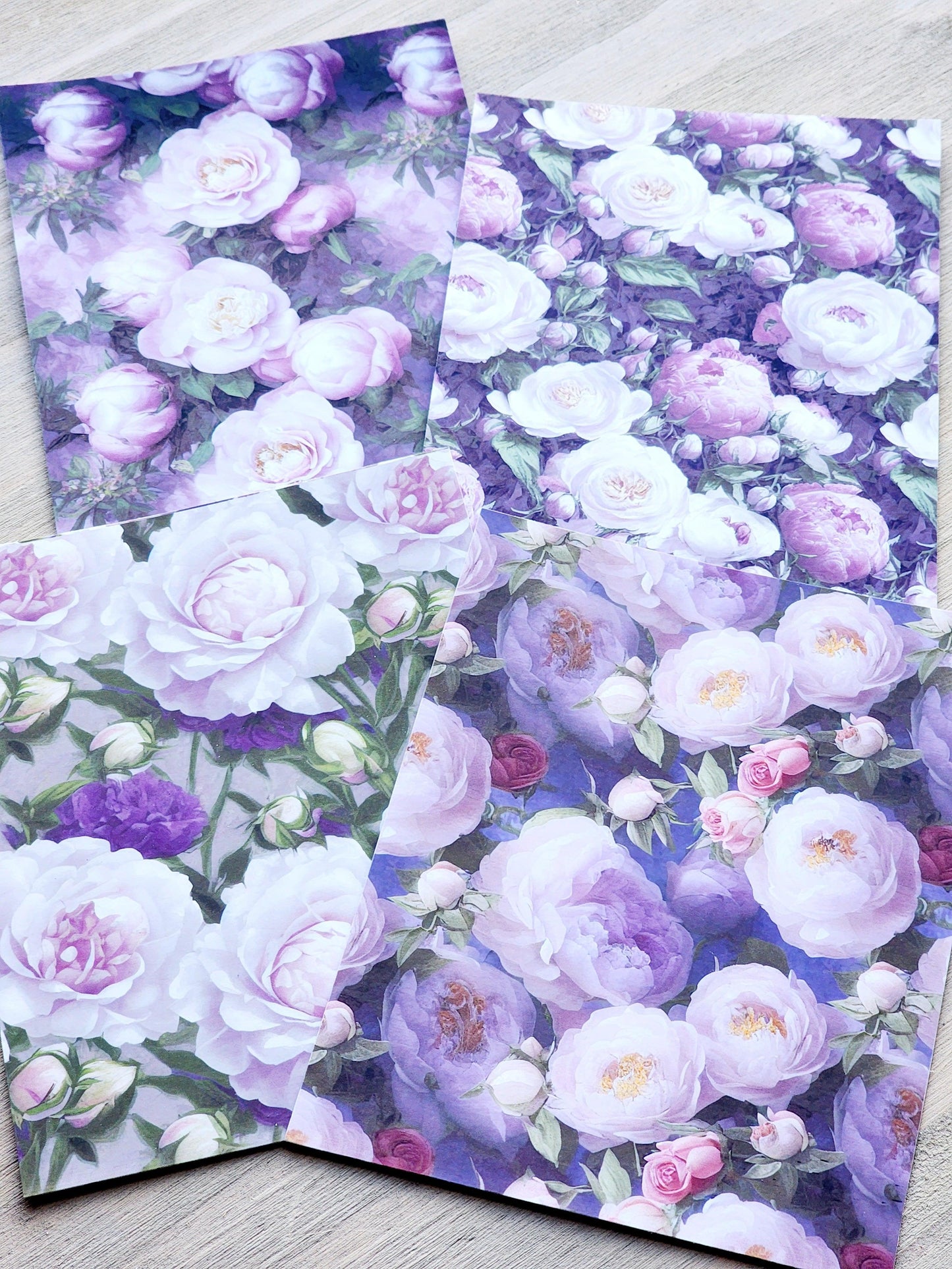 Purple Floral Vibrant Backgrounds - Studio Crisalyn